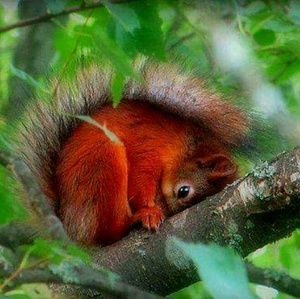 Meet your Posher, Christy